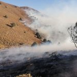 آتش‌سوزی گسترده در جنگل‌های «گاچال سۆەرگری» ایوان