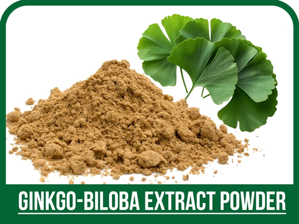 عصاره پودری جینکو