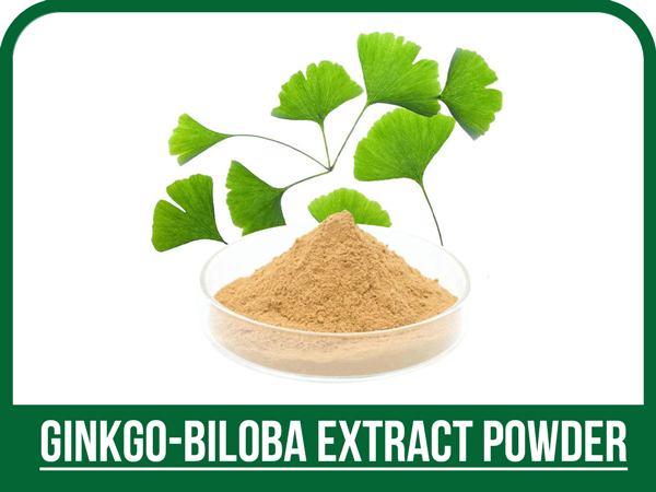 عصاره جینکو پودری