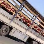 ببینید/ جابه‌جایی دانش‌آموزان یک مدرسه با کامیون در جهرم