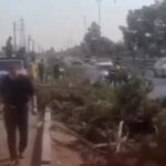 ببینید/ قطع درختان در اسلامشهر توسط شهرداری