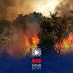 دلیل اصلی آتش سوزی جنگل الیت چه بود؟