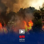 احتمال آتش‌سوزی دوباره در جنگل‌های الیت