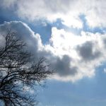 ببینید | ادعای تکان دهنده یک کارشناس در برنامه تاکر کارلسون علیه ناتو