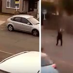 ببینید | جنایت مرد افغانستانی؛ قتل با چاقو!