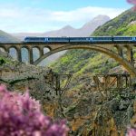 ببینید | پل ورسک، جادوی معماری هوشمندانه در دل طبیعت