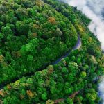 ببینید | افزایش مه‌دود در شهرهای شمالی و کاهش کیفیت هوا