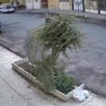 ببینید | انجام حرکات نمایشی با موتور در خیابان؛ تصادف و بعد فرار