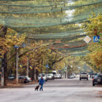 ببینید | خرسون زیر تور؛ ابتکار اوکراین برای شکار پهپادهای روسی در خیابان‌ها