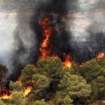 ببینید | علت آتش‌سوزی در جنگل‌های شمال چه بود؟