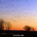 ویدیو | شهر رویایی هادی چوپان مشخص شد