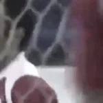 ویدیو | کنایه سنگین عادل فردوسی‌پور به جواد خیابانی