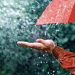 ببینید/ نم باران پاییزی خیابان‌های کرج را خیس کرد