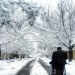 ببینید / شهرکرد سفیدپوش شد