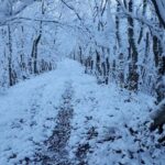 ویدیو / روز برفی جنگل فندوقلو