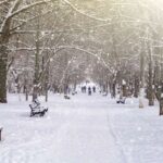 ببینید/ بارش برف در ارتفاعات و مناطق شمالی تهران