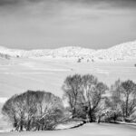 ببینید / قلب کویر ایران هم سفیدپوش شد