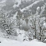 ببینید/ تصاویری از شدت بارش برف در گذرگاه‌های مرزی عراق و ایران و ترکیه