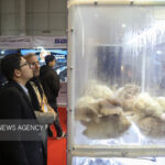 بیست‌ و ششمین نمایشگاه هفته پژوهش و فناوری در مشهد