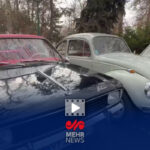 تصاویری از نمایشگاه خودروهای کلاسیک و تاریخی در مجموعه فرهنگی نیاوران