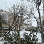 یک روز برفی در شهرستان چناران