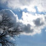 تصاویر | قاب‌هایی جذاب از تهران تمیز و کوه‌های برف گرفته