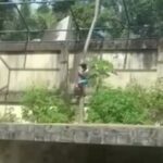 ببینید | تصاویر دلخراش از حمله مرگبار شیر ماده به پسر ۱۹ ساله در برزیل