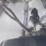 ببینید | تصاویری شوکه‌کننده از قمه‌کشی و زورگیری از یک شهروند در بلوار دانشجو مشهد