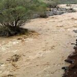 ببینید | سیلاب در کردستان عراق وارد کلاس درس شد!