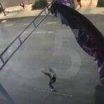 ببینید | فرود غیرمنتظره در شهروند ۳۶ ساله آمریکای با چتر در مکزیکوسیتی