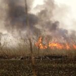 ببینید | دود غلیظ در کمربندی اسالم بر اثر آتش‌سوزی بنزین نشت‌کرده در جوی آب