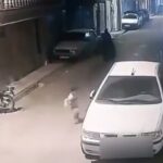 ببینید | حاوی صحنه دلخراش؛ لحظه مرگ کودک ۶ ساله زیر چرخ‌های خودرو سمند