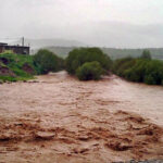 ببینید | طغیان رودخانه فصلی شهرستان گراش استان فارس