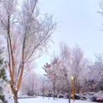 ببینید | ذوق‌زدگی بانوی ابیانه‌ای از بارش برف در استان اصفهان