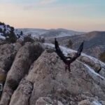 ببینید | لحظه حمله عقاب به پهپاد تصویربرداری در خراسان‌شمالی