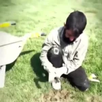 ویدیو | تیشه زدن کارگر برای آماده‌سازی چمن ورزشگاه شهر قدس!