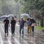 ببینید/ بارش برف در تهران