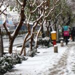 ببینید / هم اکنون؛ نمایی از تهران برفی