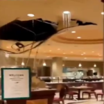 ببینید / ریزش سقف هتل در آمریکا پس از بارش باران‌های سنگین