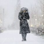 ببینید | تصاویری زیبا از بارش برف در تهران؛ امروز پایتخت باز هم سفیدپوش شد