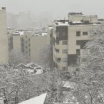 تصاویر | برف ۲۰ سانتی‌متری شمال تهران را پوشاند