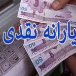 ببینید | انتقاد قابل تأمل از دولت درباره پرداخت یارانه به ایرانی‌های خارج‌نشین