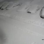 ببینید | تایم‌ لپسی از میزان بارش روزانۀ برف در کامچاتکای روسیه