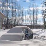 ببینید | تصویری زیبا از برف نیارق اردبیل