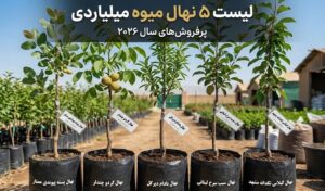 مرکز خرید نهال میوه