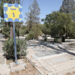 ببینید | سخنگوی شهرداری تهران: سازمان بهشت زهرا تحت هیچ شرایطی از کسی برای تحویل اجساد هزینه ای دریافت نکرده است