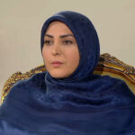 ببینید | حمله المیرا شریفی‌مقدم به اقدام توهین‌آمیز شبکه افق: این داغ طنزبردار نیست!