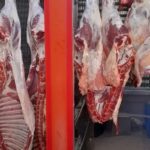 ببینید | ادعای   رئیس شورای تامین دام کشور درباره کاهش قیمت چشم‌گیر در بازار گوشت!