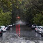 ببینید | هم‌اکنون؛ بارش شدید باران در پارک ملت تهران