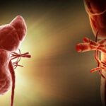 ببینید |  پایان انتظارهای مرگبار؟ پیشرفت بزرگ در پیوند کلیه